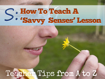 S: Savvy Senses - Its All About Observation [Teacher Tips from A to Z]