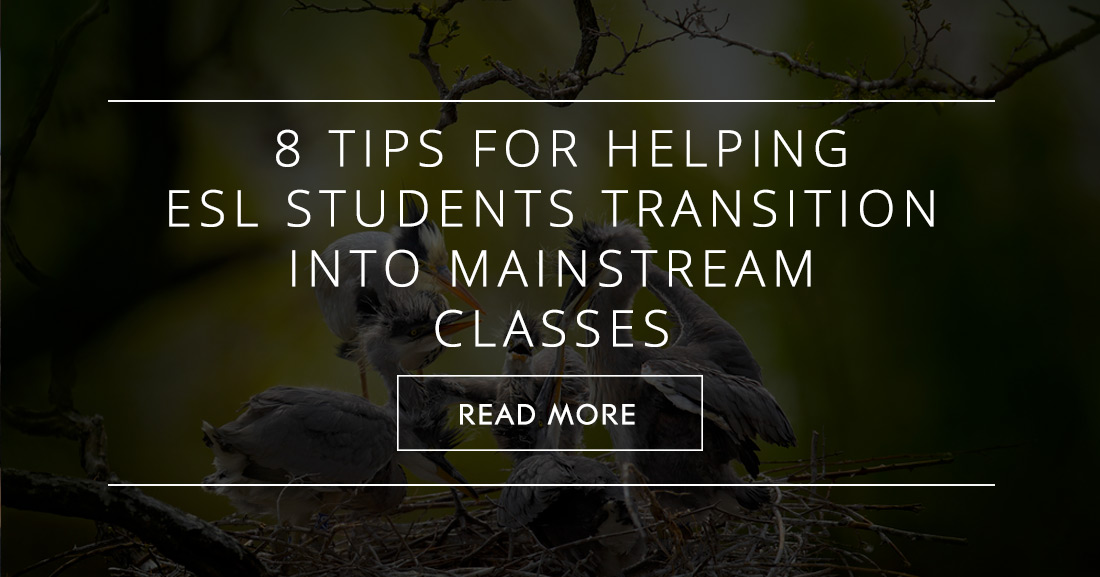 When its Time to Leave the Nest: 8 Tips for Helping ESL Students Transition into Mainstream Classes