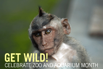 Get Wild: Celebrate Zoo and Aquarium Month