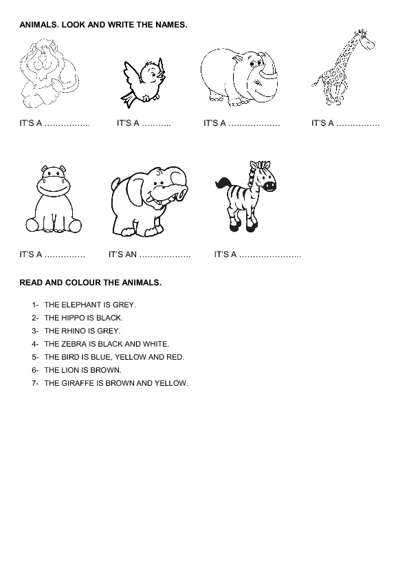 Match write the names. Animals writing Worksheets for Kids. Read and Color Worksheets for Kids animals. What animal is it Worksheets. I like animals Worksheets for Kids.
