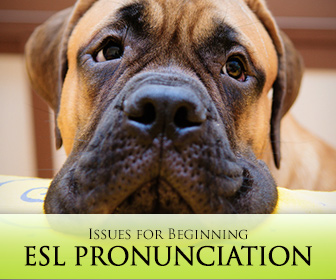 Getting Started, Getting Understood: Issues for Beginning ESL Pronunciation