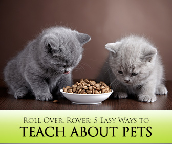 Roll Over, Rover: 5 Easy Ways to Teach About Pets