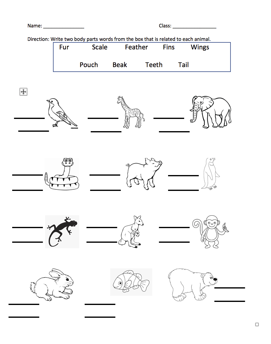 BusyTeacher